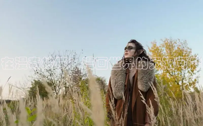 风车漫画网页版